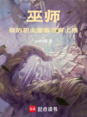巫师我的职业面板没有上限无错